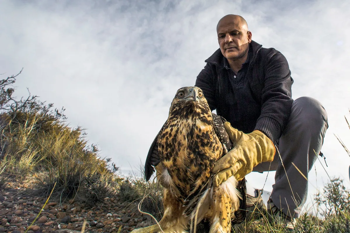 Víctor Fratto, experto en conservación: “El manejo de la fauna y de los ecosistemas requiere de conocimiento científico”
