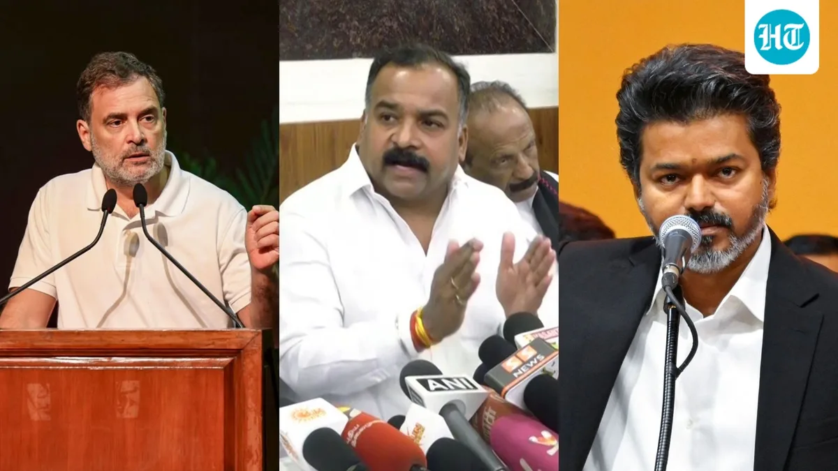 Vijay's TVK can join INDIA bloc once they have own MPs, says Tamil Nadu Congress leader B Manickam Tagore