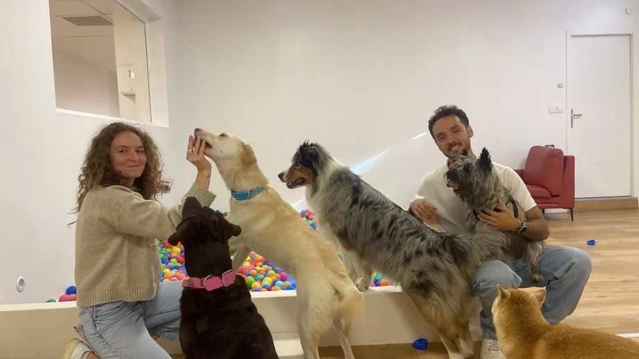 VIDÉO - "C’est le QG des chiens heureux" : une crèche canine ouvre ses portes à Toulouse