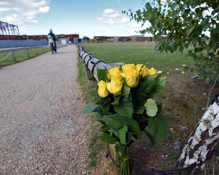 Wildlife park confirms tiger will not be euthanised after man mauled to death