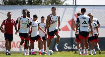 Por 35,9 milhões de euros. Amar Dedic troca o Benfica pelo Newcastle