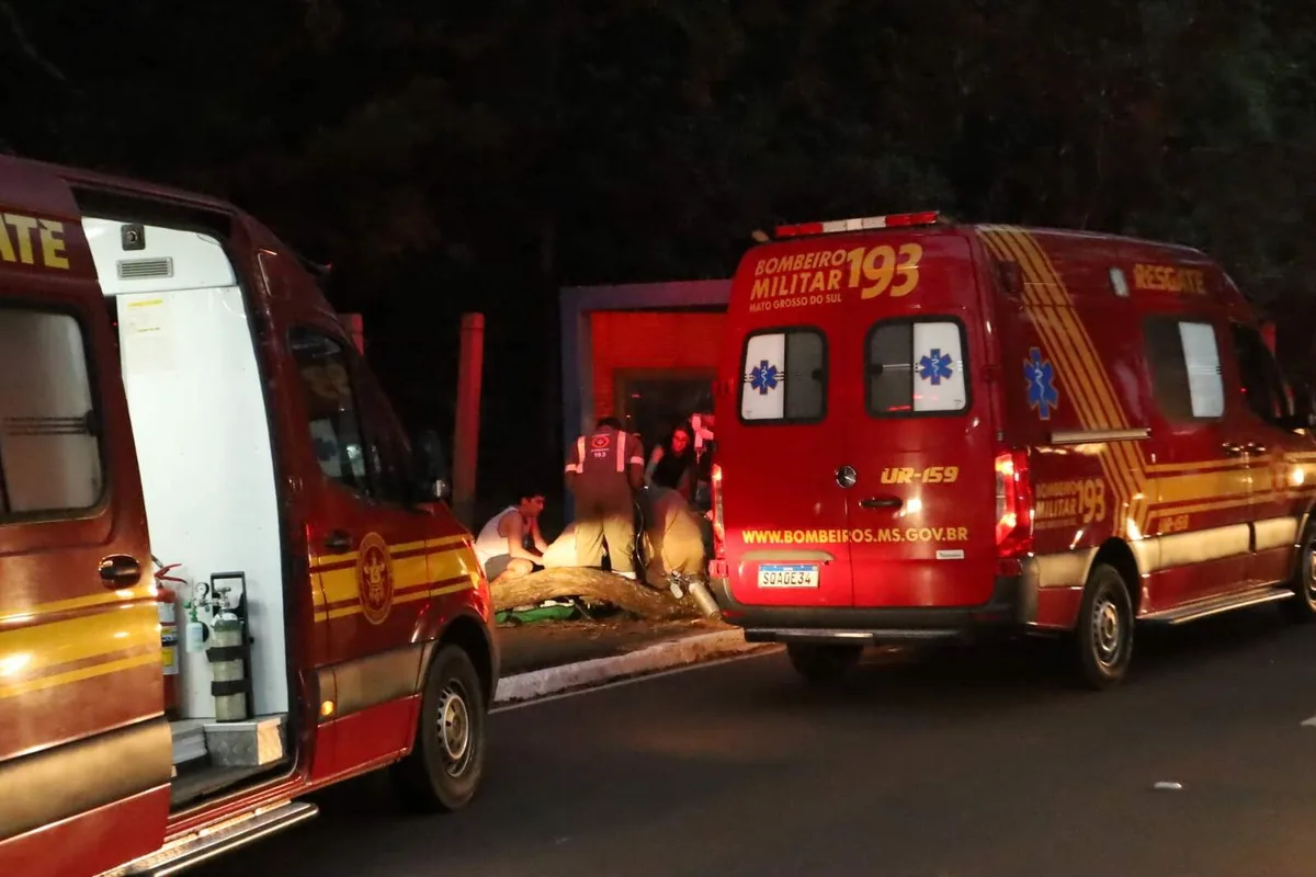Após jovem morrer atingida por tronco, Imasul aprofunda levantamento técnico
