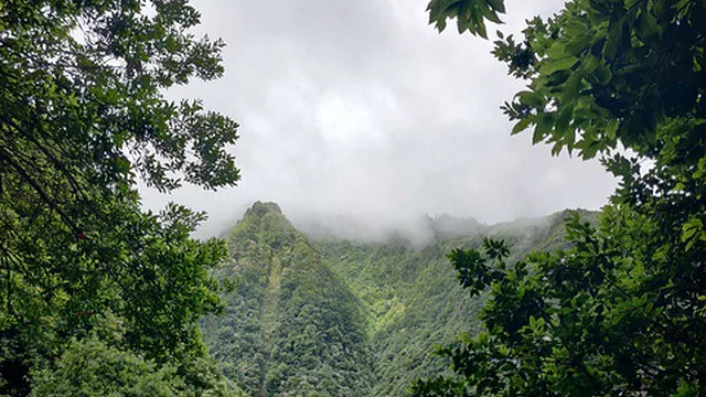Nuvens e aguaceiros fracos põem Verão à prova na Madeira