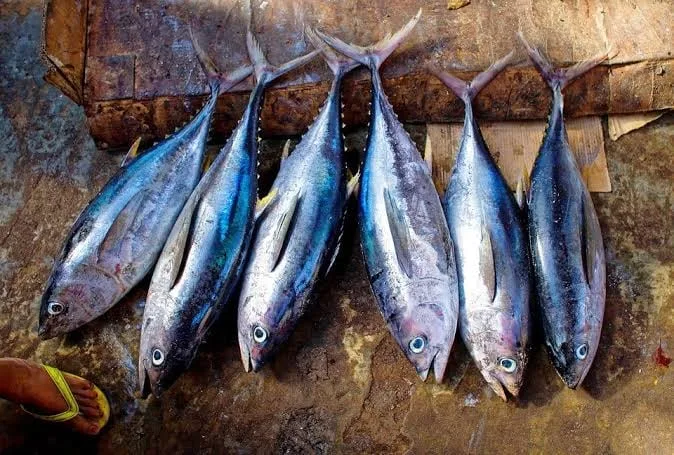 Gobierno declara en emergencia los subsectores pesca y acuicultura a nivel nacional por 120 días