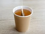 The microplastics lurking in your takeaway coffee: Single-use cups release millions of dangerous particles when exposed to hot liquid, study warns