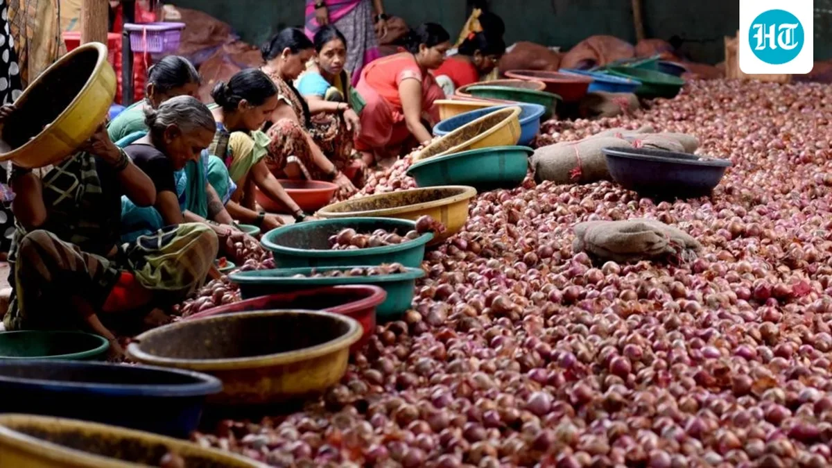 First ‘Kanda Express’ with 800 tonnes of onions to reach Delhi tomorrow, to be sold at ₹35/kg