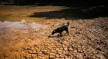 "Super El Niño" pode causar mais de 450 mil mortes nos próximos seis meses