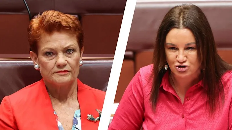 ‘Get over it’: Hanson dismisses Lambie’s anger over crass cartoon attack on her health