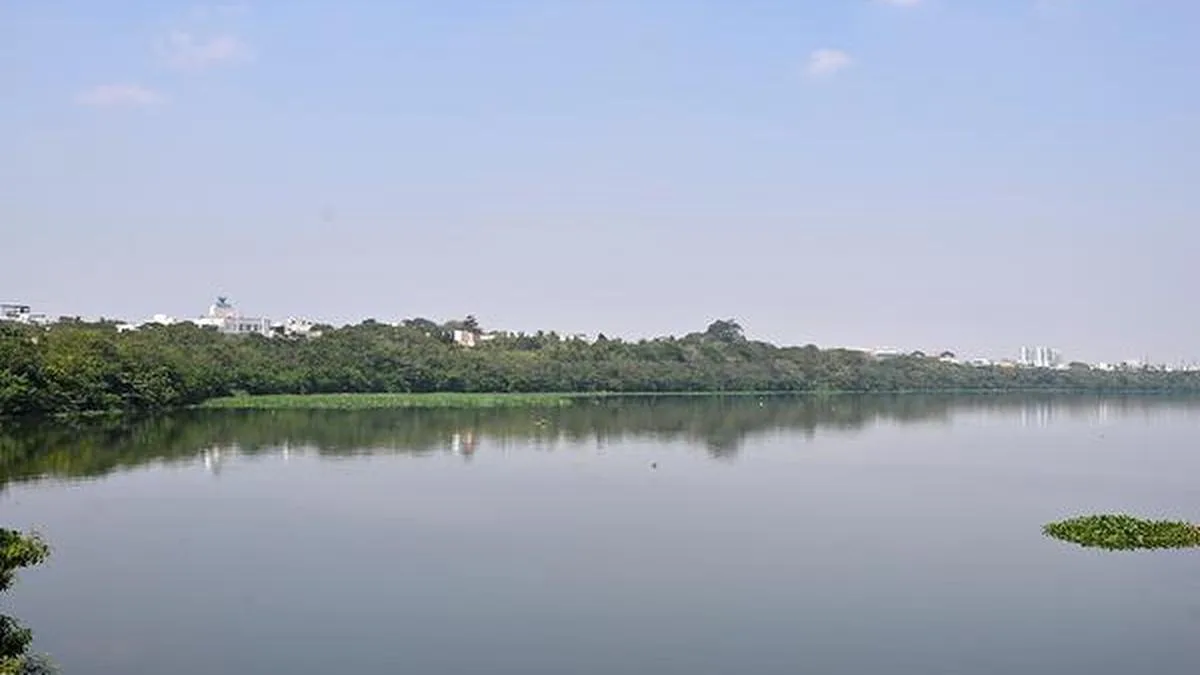 Tamil Nadu Assembly: Water Resources Department to build 27 check dams in State to conserve floodwater