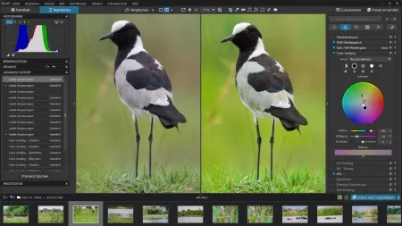 heise+ | DxO PhotoLab 10: Raw-Entwickler mit KI-Masken und Staubretusche