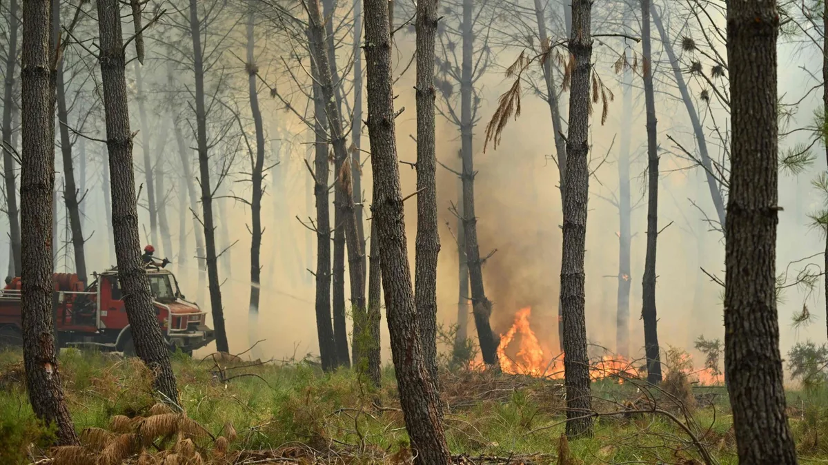 Waldbrände in Europa: Wo es gerade brennt