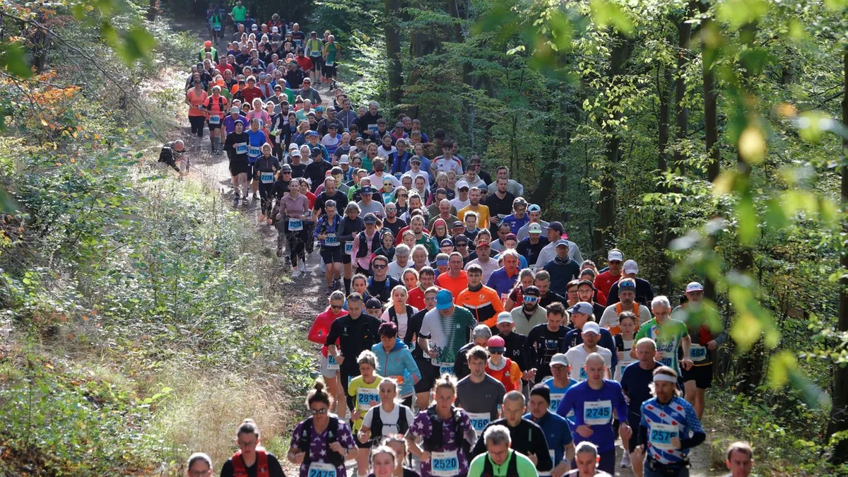 Läufer erobern Harz: Knapp 4.000 Läufer starten beim Harz-Gebirgslauf