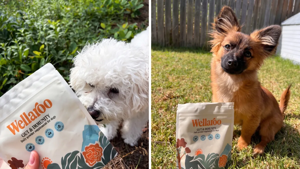 Why is my dog itching? Shoppers say Wellaroo’s supplement with over 2,500 reviews improves gut health, digestion and energy levels