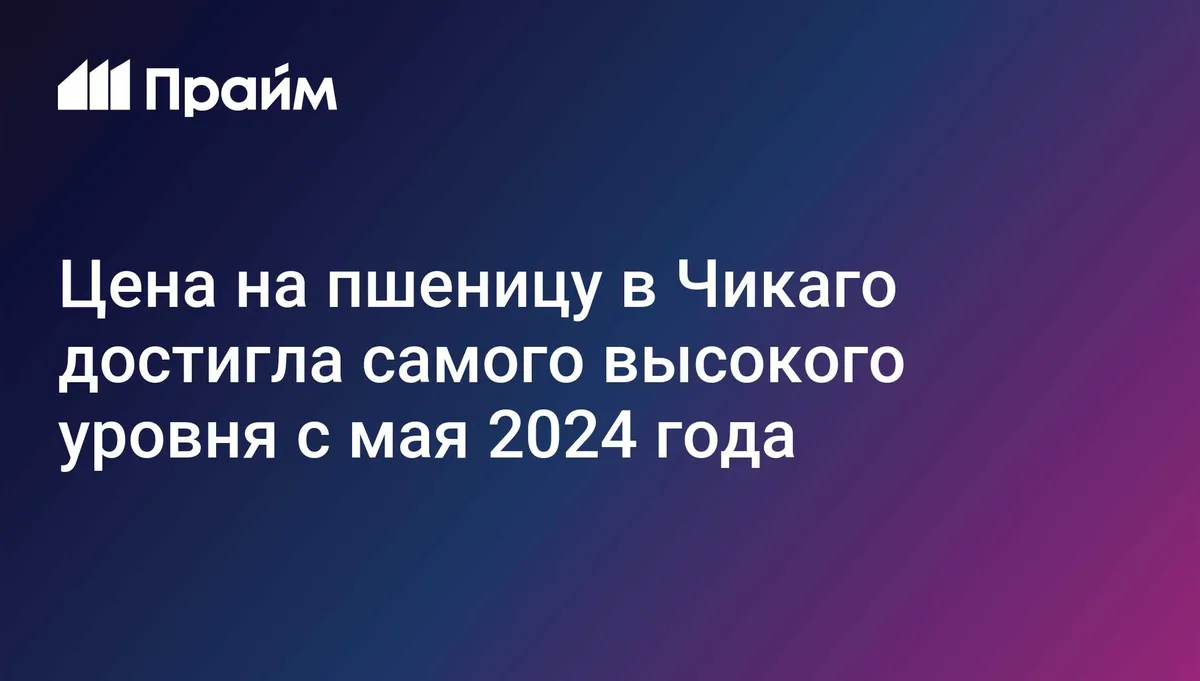 Цена на пшеницу в Чикаго достигла самого высокого уровня с мая 2024 года