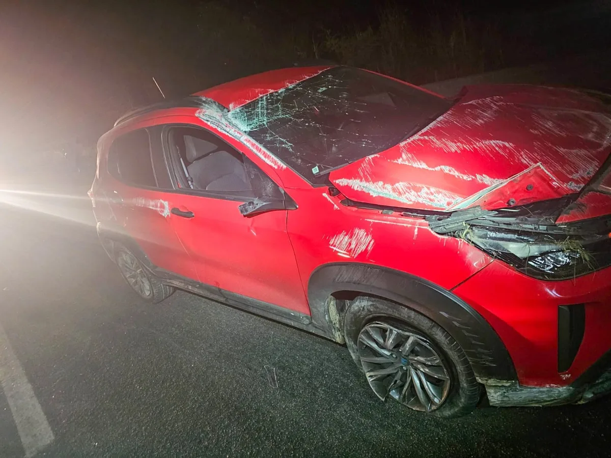 Motociclista para na BR-232 para ajudar motorista que bateu carro e morre atropelado por carreta