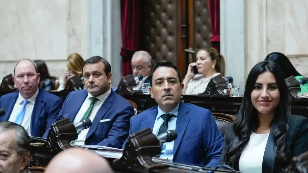 Movimientos en el Congreso: Innovación Federal se parte por la interna misionera, que llega hasta el Senado