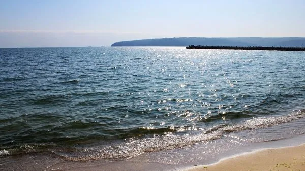 Turkiye Closely Coordinating With Russia on Black Sea Security - Source