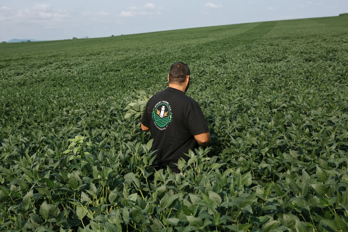 The Iran war and tariffs are costing farmers. Will Republicans pay in November?