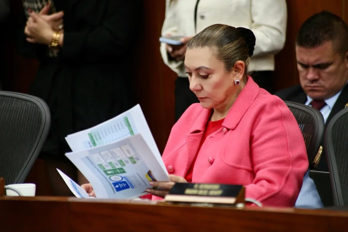 Directora del Icbf aseguró que “familia solo hay una” y armó polémica en el Senado: “Provocadora y peligrosa”