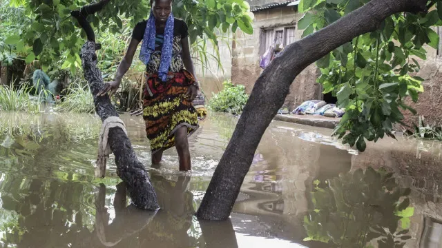 Moçambique. El Niño contribui para subida de 55% na insegurança alimentar