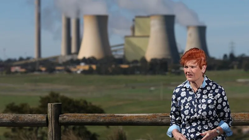 One Nation wants this coal plant kept open. Its owner warns that will spell trouble