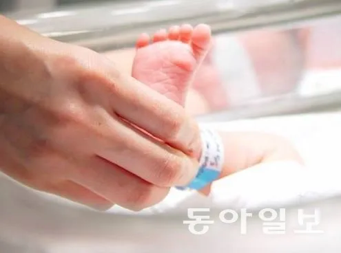 여성 고학력화가 저출산 원인?…출산율 하락의 5%만 설명