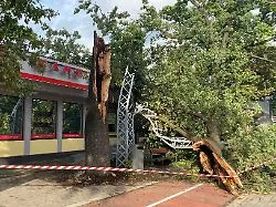 Schäden in Millionenhöhe: Unwetter im Baltikum kappen Hunderttausenden den Strom