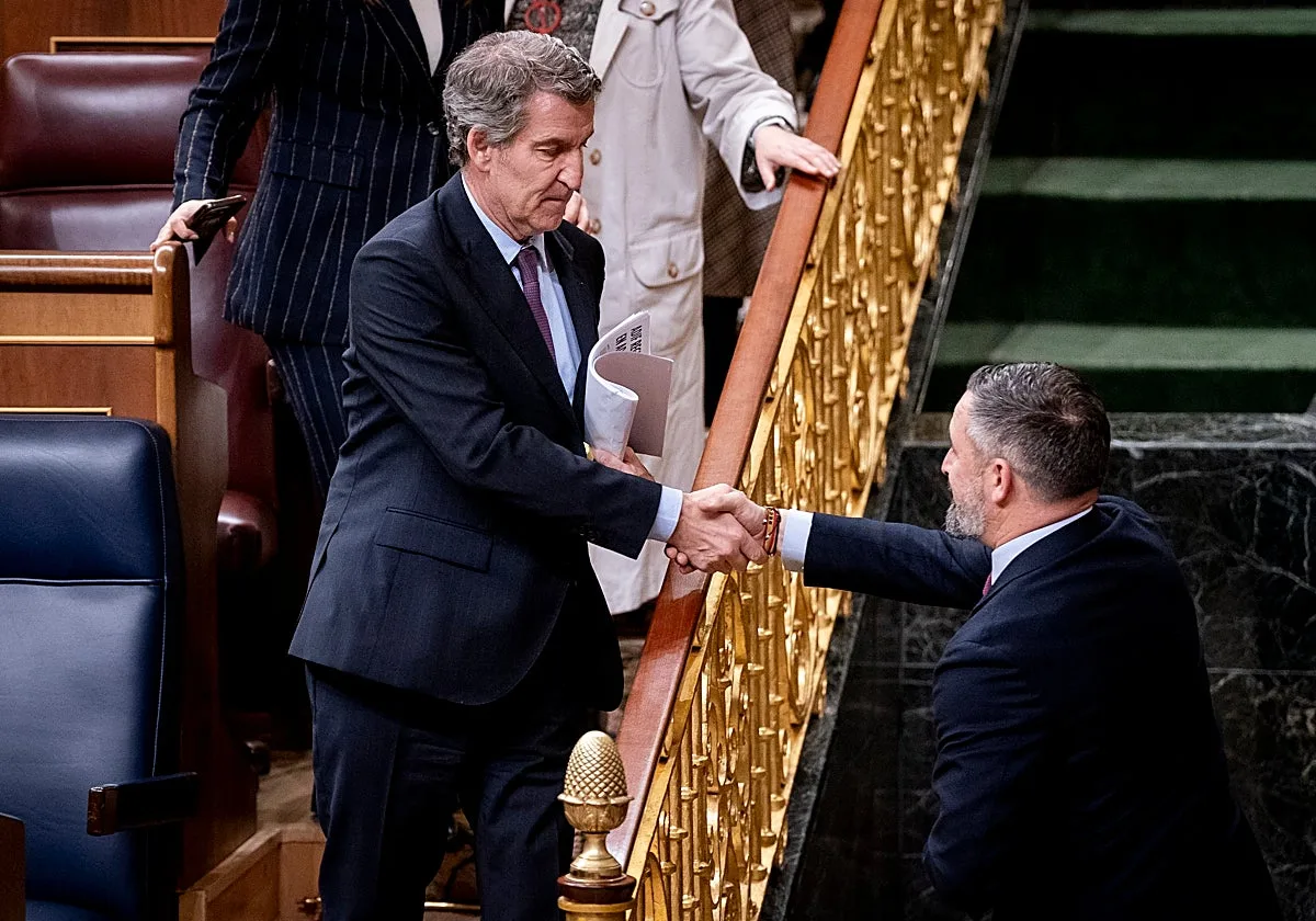 Seis de cada diez españoles creen que PP y Vox gobernarán en coalición tras las elecciones