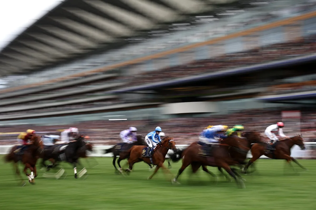 2026 British Champions Day odds: Prices, tips and how to bet at Ascot
