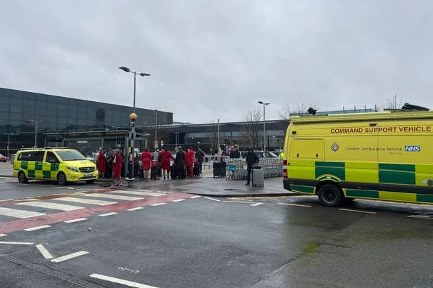 Men behind Heathrow tear gas attack that left people 'vomiting blood' jailed