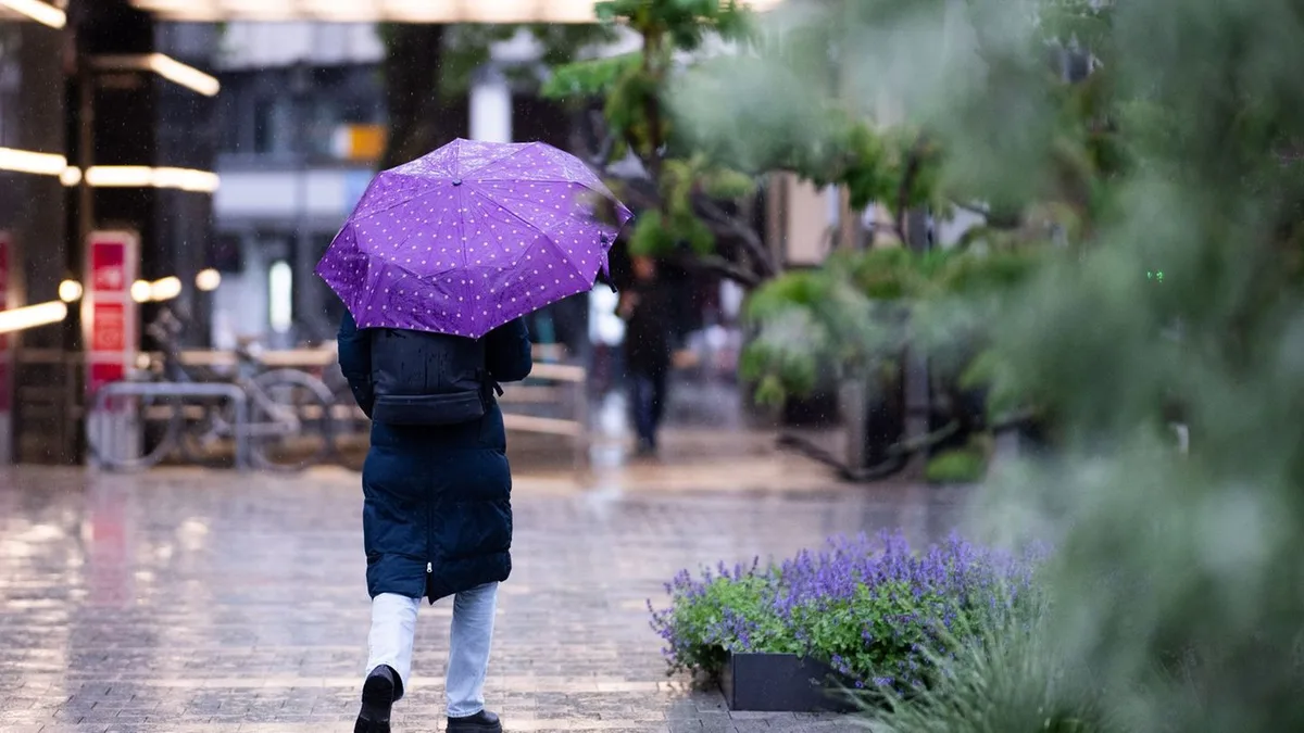Wetter: Gewitter im Anmarsch: Wann es besonders nass wird