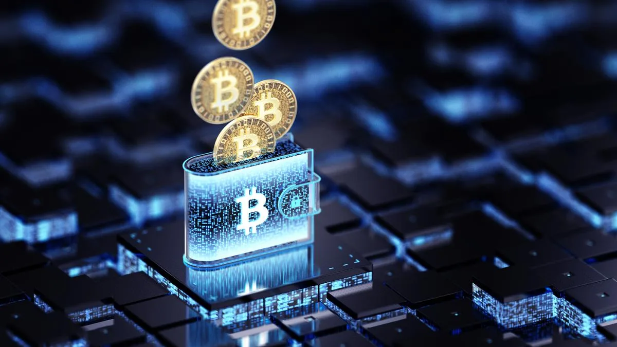 Operation Toofan to trace drug money through UPI, crypto wallets