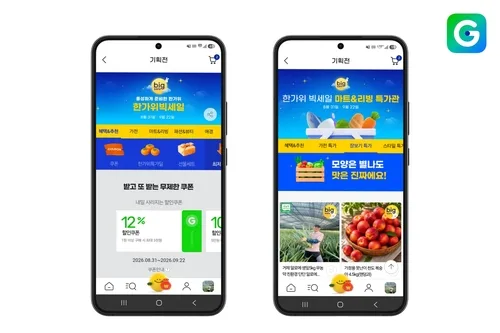 G마켓, '못난이 농수산물' 특가전…거제·해남 등 산지상품 할인