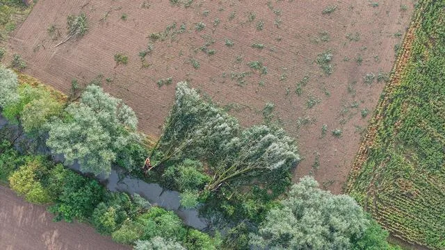 Hagel, Wind und Regen: Unwetter trifft Landwirte und Winzer - massive Ernteverluste