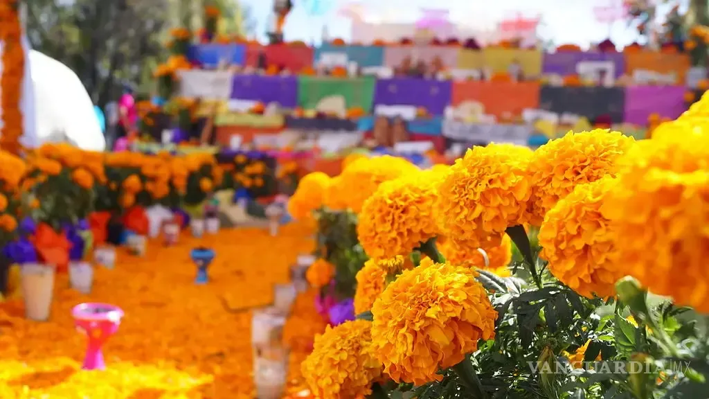 Calendario Día de Muertos 2026: Fecha por fecha para poner tu ofrenda
