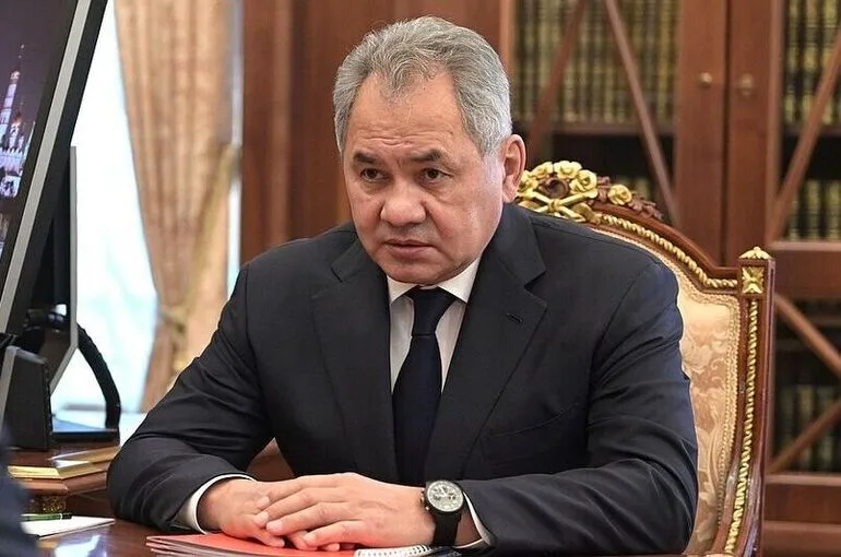 Шойгу выразил соболезнования в связи со смертью генерала Младича