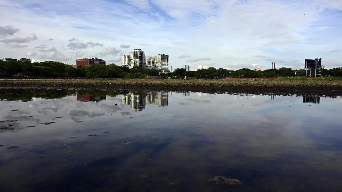 Tunnel road projects: Karnataka HC seeks presentation on Hebbal lake water flow, GSI report on Lal Bagh monument