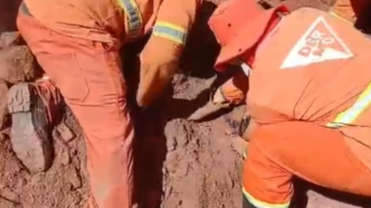 VÍDEO: Trabalhador é soterrado até o pescoço em obra é resgatado sem ferimentos em Araguari