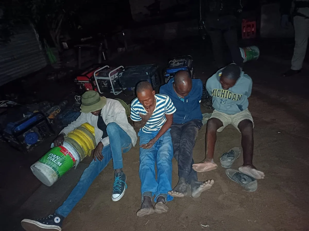 Court backs Bapedi Kingdom in Limpopo mining clampdown