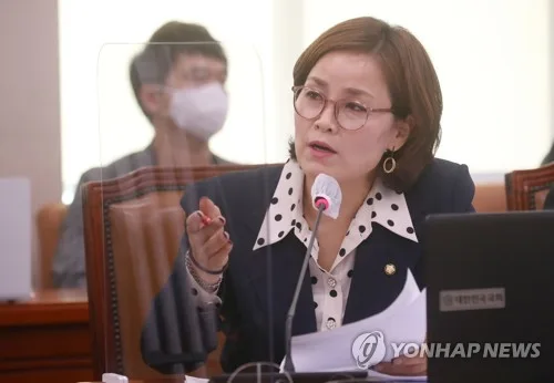 임오경 "외국인 관광객 서울에 76.8% 쏠려…지역분산 필요"