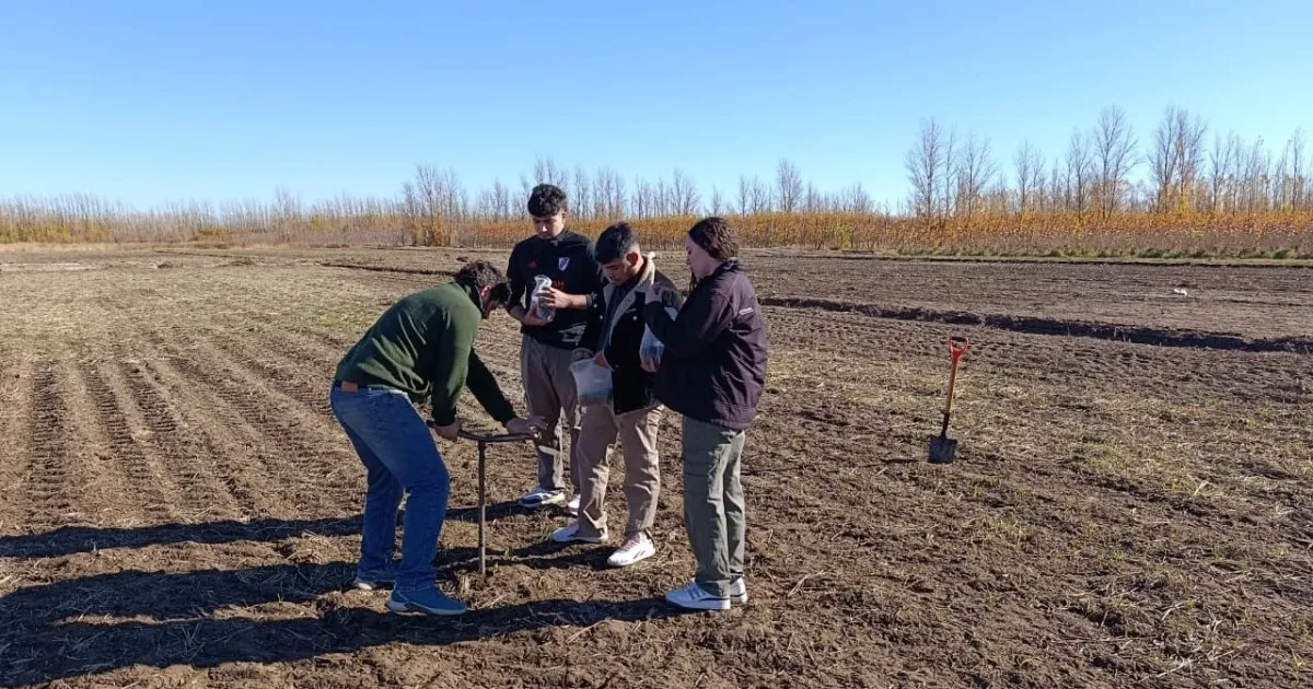 Del laboratorio al territorio: qué revelan los análisis de suelos y aguas de las zonas productivas de Río Negro y Neuquén