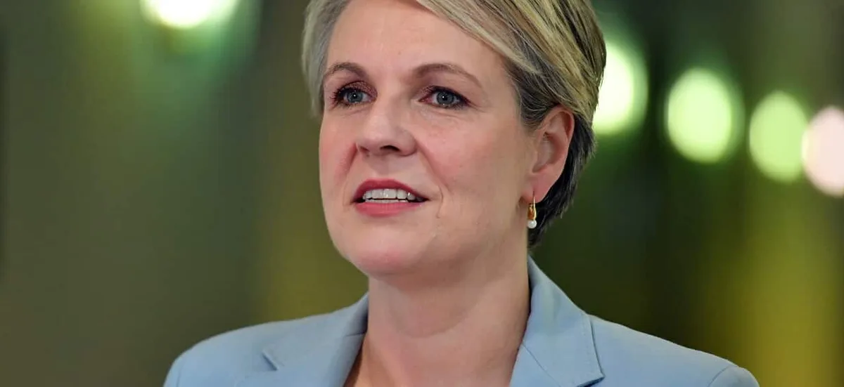 Australia should look 'very seriously' at UK-style ban on strangulation porn: minister
