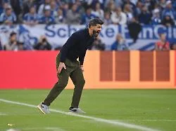 Euphorie verflogen: "Unterirdisch": Nach Heimpleite brodelt es auf Schalke schon wieder