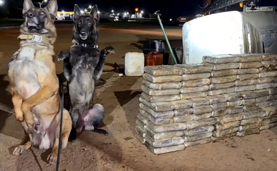 Vídeo! Com ajuda de cão farejador, polícia encontra mais de 100 quilos de cocaína em tanque de caminhão na BR-277