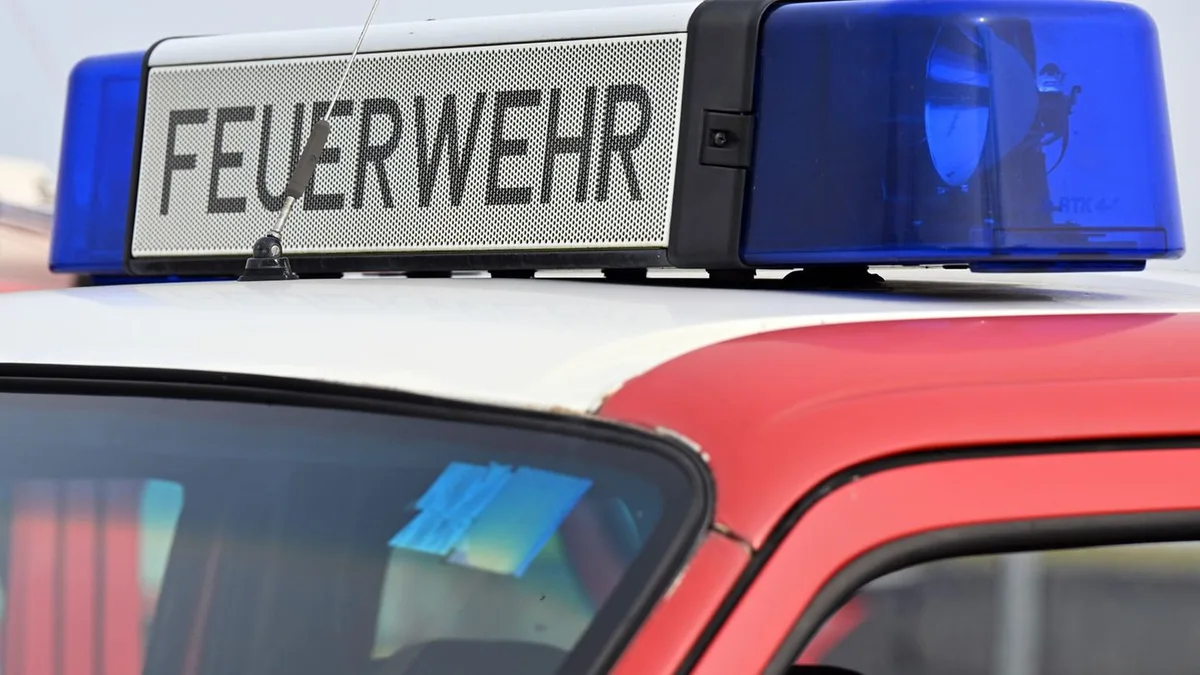 Bernsgrün: Stallbrand mit Hunderten toten Schweinen – Millionenschaden