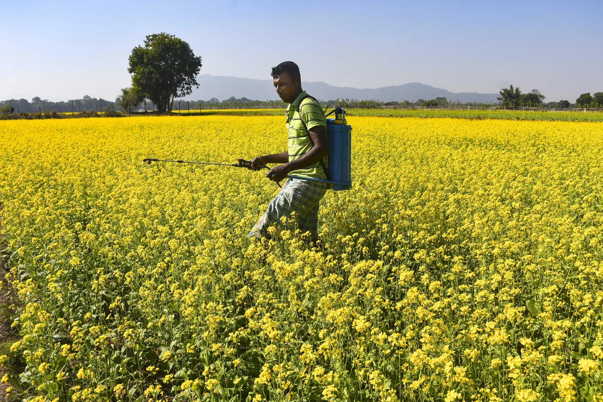 Govt moves to ban widely used plant protection chemical, Carbosulfan