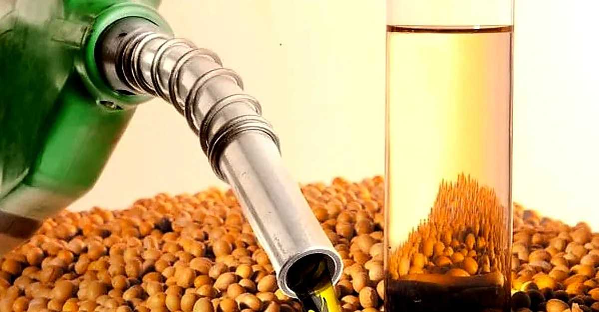 Demanda por diesel e biodiesel deve registrar novos recordes em 2027, estima StoneX
