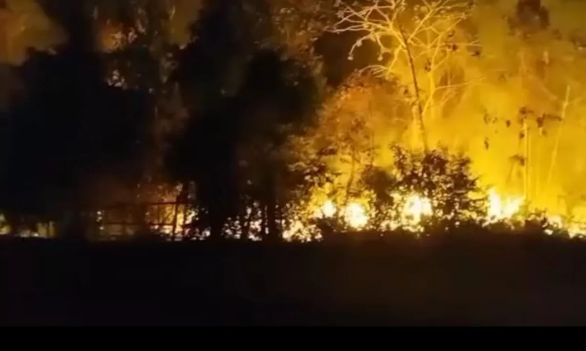 Incêndio atinge área de mata próxima a lixão em Maués, no interior do Amazonas