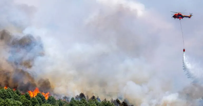 Fogo no concelho de Mirandela consumiu 500 hectares
