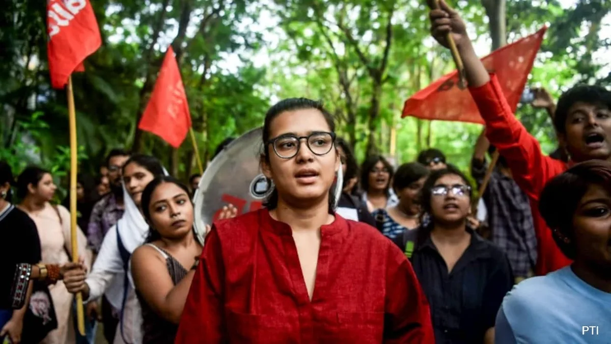 "Objective Is Regime Change": BJP On Neha Bora's "Bangladesh Showed Way" Video